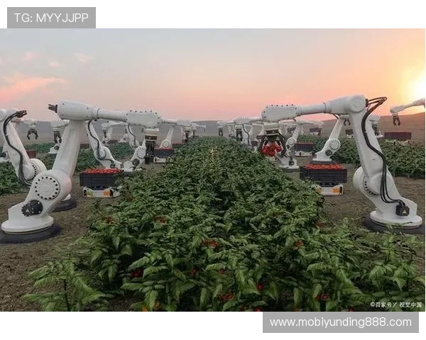 云顶国际游戏：未来发展趋势与技术革新带来的行业变革