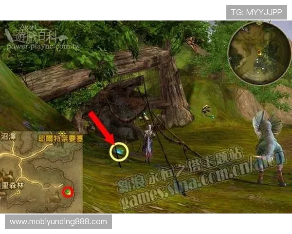 云顶官方下载教程，完整步骤帮助新手顺利完成游戏安装