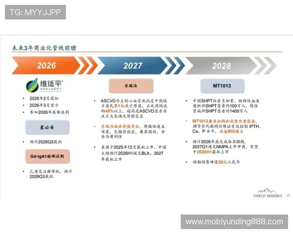 云顶网络在线平台的价格策略与成本控制，帮助企业实现盈利最大化