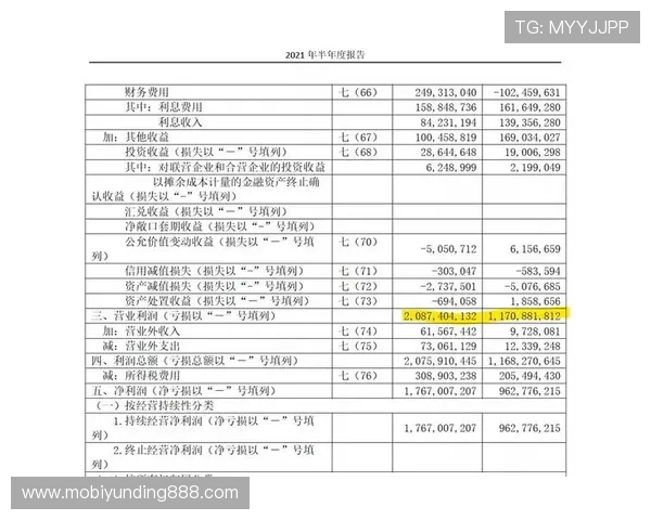 财务健康度评估马来西亚云顶有限公司的盈利模式与风险控制